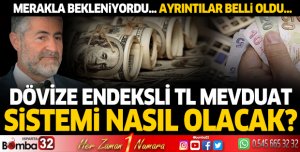 Dövize endeksli TL mevduatının ayrıntıları belli oldu