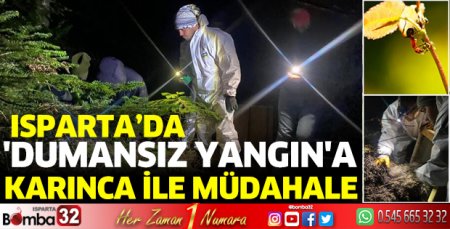 Dumansız yangına karınca ile müdahale