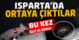 ISPARTA'DA ORTAYA ÇIKTILAR
