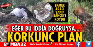 EĞER BU İDDİA DOĞRUYSA! BUNUN ADI VAHŞET