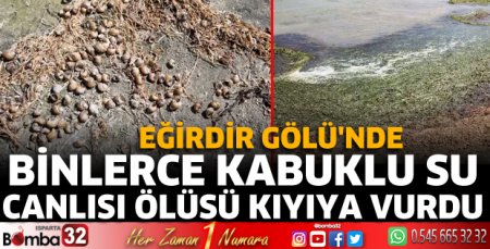 Eğirdir Gölü'nde binlerce kabuklu su canlısı ölüsü kıyıya vurdu
