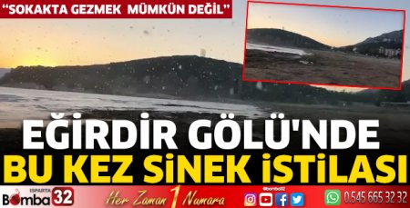 Eğirdir Gölü'nde bu kez sinek istilası