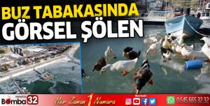 Eğirdir Gölü'nde buz tabakasındaki ördekler havadan görüntülendi