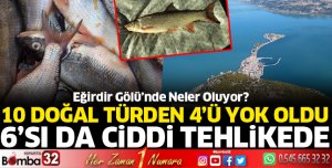 Eğirdir Gölü'nde ekokırım