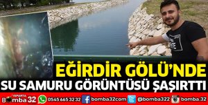 Eğirdir Gölünde su samuru heyecanı