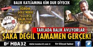 EĞİRDİR GÖLÜ'NDEKİ BALIKLAR TARLALARDA TELEF OLUYOR