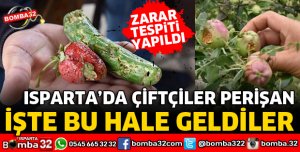 EĞİRDİR’DE DOLU ZARARI ZARAR TESPİTİ YAPILDI