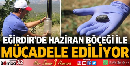 Eğirdir’de Haziran Böceğiyle mücadele