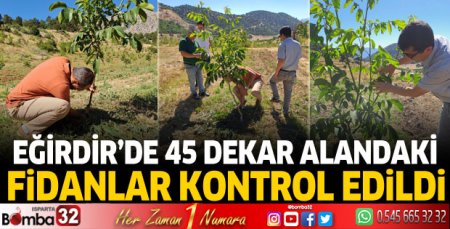 Eğirdir'de 45 dekar alandaki fidanlar kontrol edildi