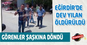 EĞİRDİR'DE DEV YILAN ÖLDÜRÜLDÜ 
