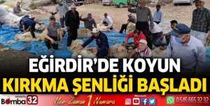Eğirdir'de koyun kırkma şenliği başladı