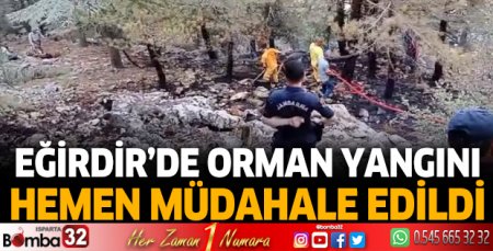 Eğirdir'de orman yangını