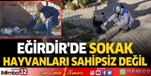 EĞİRDİR'DE SOKAK HAYVANLARI SAHİPSİZ DEĞİL