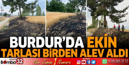 Ekin tarlası birden alev aldı