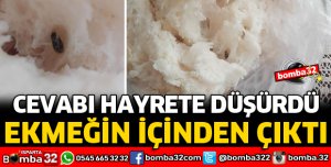 EKMEĞİN İÇİNDEN ÇIKANI GÖRÜNCE ŞOKA UĞRADI