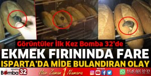 Ekmek fırınında fare