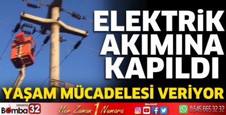 Elektrik akımına kapıldı yaşam mücadelesi veriyor
