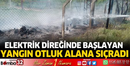 Elektrik direğinde başlayan yangın otluk alana sıçradı