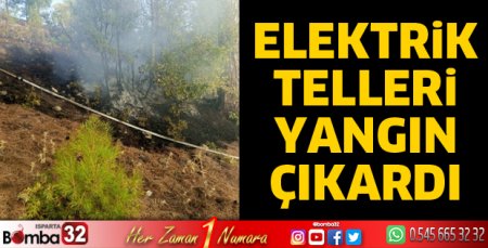 Elektrik telleri yangın çıkardı