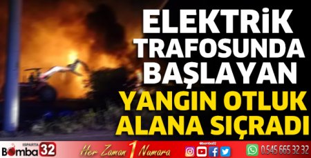 Elektrik trafosunda başlayan yangın otluk alana sıçradı 