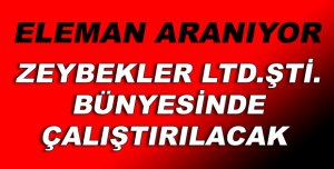 ELEMAN ARANIYOR