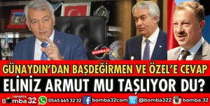 ELİNİZ ARMUT MU TAŞLIYORDU