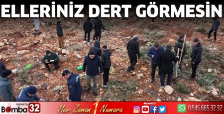 Elleriniz dert görmesin