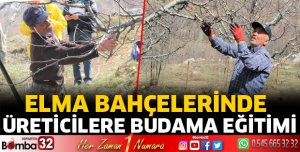 Elma bahçelerinde budama eğitimi