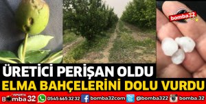 ELMA BAHÇELERİNİ DOLU VURDU
