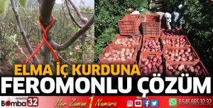 ELMA İÇ KURDUNA FEROMONLU ÇÖZÜM