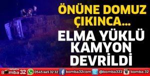 ELMA YÜKLÜ KAMYON DEVRİLDİ