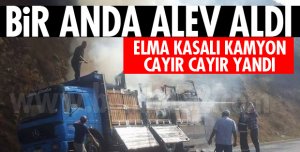 ELMA YÜKLÜ KAMYONDA YANGIN ÇIKTI