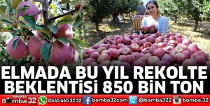 ELMADA BU YIL REKOLTE BEKLENTİSİ 850 BİN TON