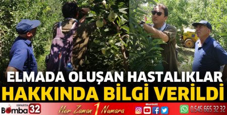 Elmada oluşan hastalıklar hakkında bilgi verildi
