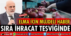 ELMADA SIRA İHRACAT TEŞVİĞİNDE