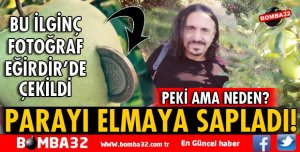 ELMALARA 1 TL SAPLADILAR