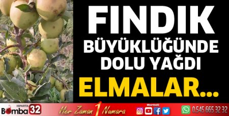 Elmayı dolu vurdu