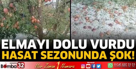 Elmayı dolu vurdu
