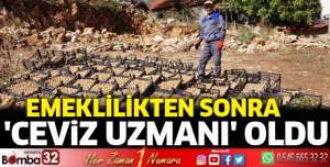 Emeklilikten sonra ceviz uzmanı oldu