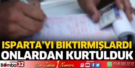 Emniyetten fahri trafik müfettişi kararı
