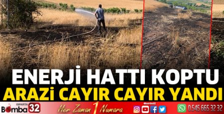 Enerji hattı koptu arazi yandı