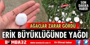 ERİK BÜYÜKLÜĞÜNDE DOLU YAĞDI