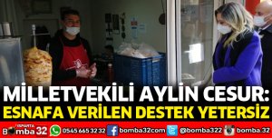 ESNAFA VERİLEN DESTEK YETERSİZ