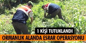 ESRAR OPERASYONU