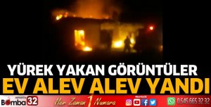 EV ALEV ALEV YANDI