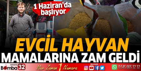 Evcil hayvan mamalarına zam geldi