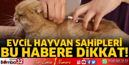 Evcil hayvan sahipleri bu habere dikkat!