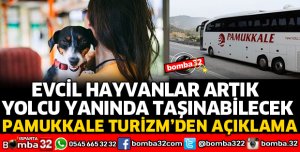 EVCİL HAYVANLAR ARTIK YOLCU OTOBÜSÜNDE TAŞINABİLECEK