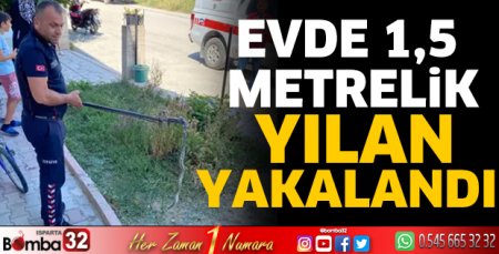 Evde 1,5 metrelik yılan yakalandı