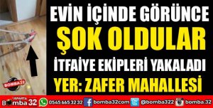EVİN İÇİNDE GÖRÜNCE ŞOK YAŞADILAR